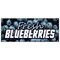 Signmission FRESH BLUEBERRIES BANNER SIGN fruit stand cart signs produce farmers B-96 Fresh Blue Berries - alternate 1